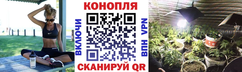 Марихуана OG Kush купить наркотики цена Бронницы